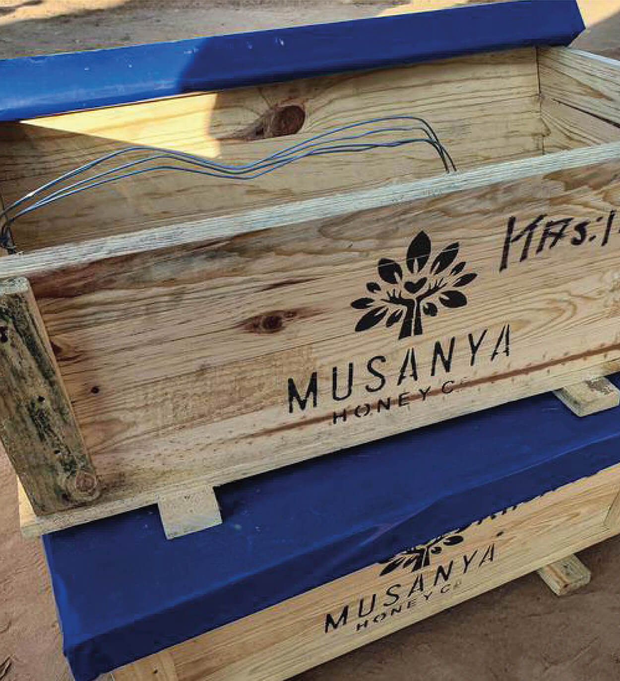 Musanya Honey